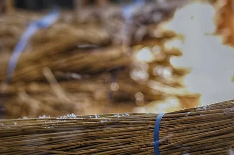 Processing of reed for thatching Stock Photos
