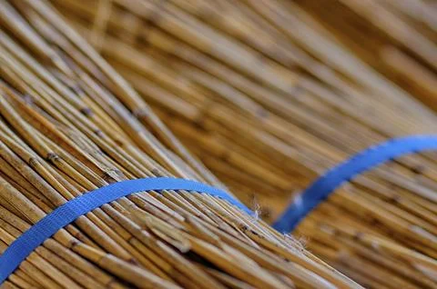 Processing of reed for thatching Stock Photos