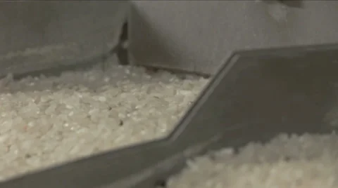Processing of Rice Stock Footage 35633607