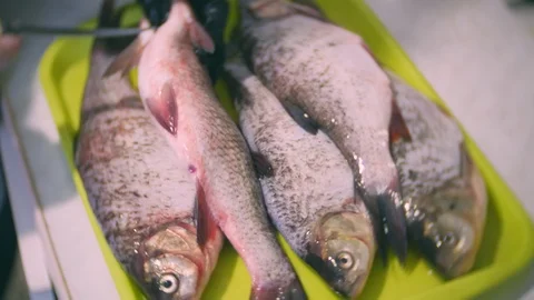 Processing river fish. Female hands close-up. 스톡 동영상 120032968