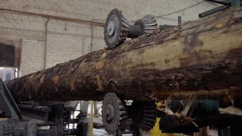 Processing of round timber logs for building wooden house. Removing bark from Stock Footage 126511573