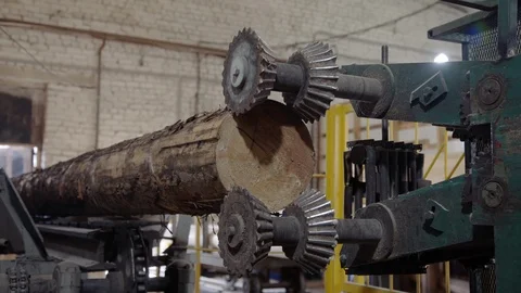 Processing of round timber logs for building wooden house. Removing bark from Stock Footage 126512084