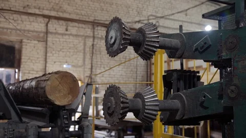 Processing of round timber logs for building wooden house. Removing bark from Stock Footage 126512500