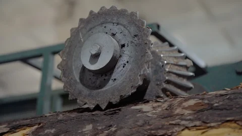 Processing of round timber logs for building wooden house. Removing bark from Stock Footage 126513959