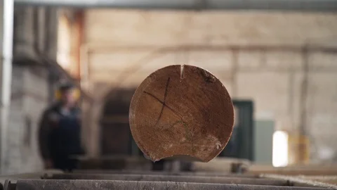 Processing of round timber logs for building wooden house. Removing bark from Stock-Footage 126514807