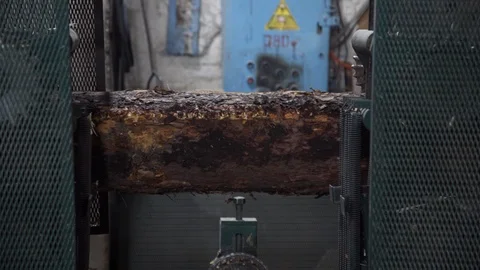 Processing of round timber logs for building wooden house. Removing bark from Stock Footage 126516229