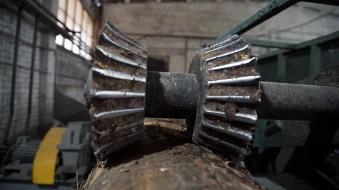 Processing of round timber logs for building wooden house. Removing bark from Stock Footage 126520284