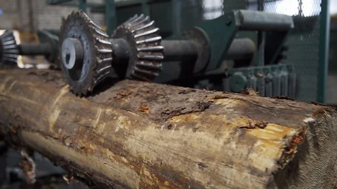 Processing of round timber logs for building wooden house. Removing bark from Stock Footage 126520404