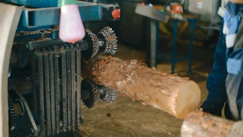 Processing of round timber logs for building wooden house. Removing bark from Stock Footage 129237557