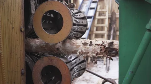 Processing of round timber logs for building wooden house. Removing bark from Stock Footage 130879138