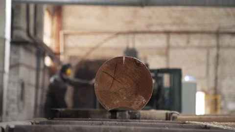 Processing of round timber logs. Removing bark from logs using a machine Stock Footage 126513953