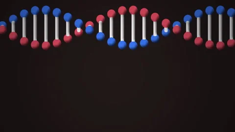 Processing scientific data, animation showing DNA strand and binary coding 動画素材 304256639