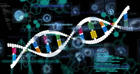 Processing scientific data, DNA strand with binary coding in animation sequence 動画素材 303554959