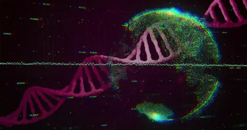 Processing scientific data, DNA strand intertwining with binary code animation Stock Footage 303555067