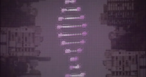Processing scientific data, DNA strand intertwining with binary coding animation Stock Footage 303556036