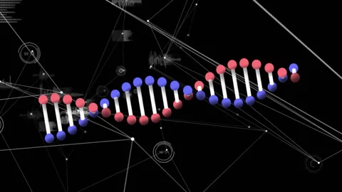 Processing scientific data, DNA strand intertwining with binary code in Stock Footage 303840701