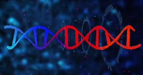 Processing scientific data, DNA strand with binary coding animation in Stock Footage 304648678