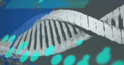 Processing scientific data, DNA strand with binary coding in animation 動画素材 306264313