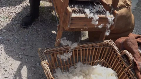 Processing sheep wool on an old wooden machine. Stock Footage 242595265