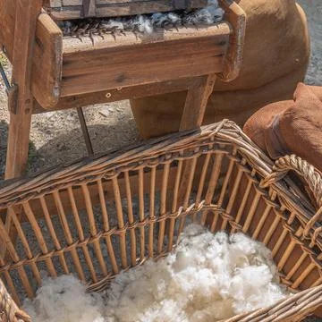 Processing sheep wool on an old wooden machine Stock Photos