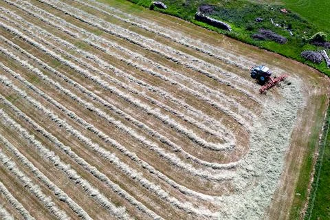 Processing silage Stock Photos