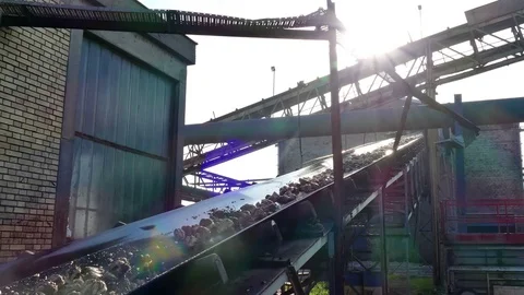 Processing of Sugar Beet at the Factory Facilities Stock Footage 83451768