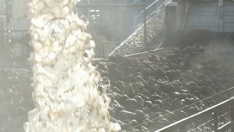 Processing of Sugar Beet at the Factory Facilities Stock Footage 83452439