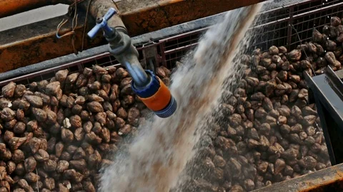 Processing of Sugar Beet at the Factory Facilities Stock Footage 83452827