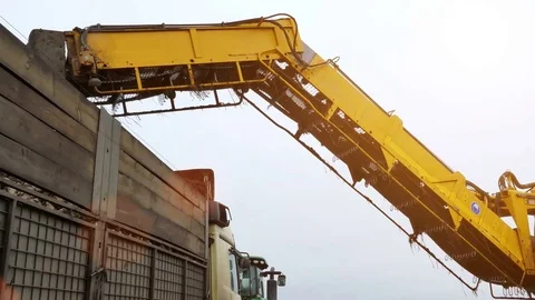 Processing of Sugar Beet Stock Footage 83685368