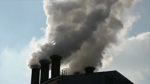 Processing sugar beet in sugar refinery Stock Footage 24658469