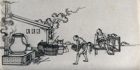 Processing of tea (?) (Camellia sinensis) in China: one man carries a tray .. Stock Illustration