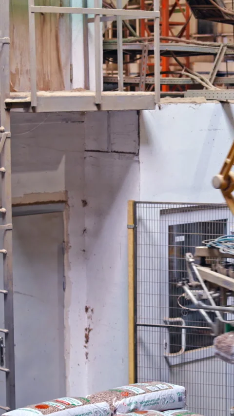 Processing of timber at the sawmill. Stock Footage 275079213