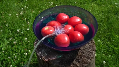 Processing tomato and cucumber with ozone. Vegetables in the water into which Stock Footage 140729405