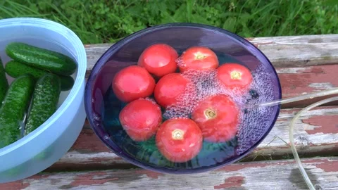 Processing tomato and cucumber with ozone. Vegetables in the water into which Stock Footage 162227075