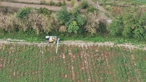 Processing tomato crop of Solanum lycopersicum with tractor mounted crop Stock Footage 346687047