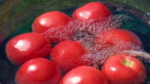 Processing tomato ozone. Tomatoes in the water into which ozone is injected f Stock Footage 148723701