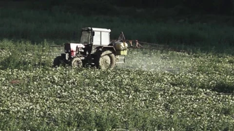 Processing of a vegetable field with a tractor Stock Footage 147441039