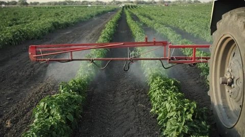Processing of vegetables in the field with fertilizers Stock Footage 221113121