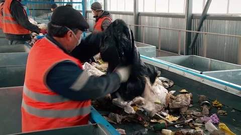 Processing of waste, garbage. Urban landfill. Sorting. Stock Footage 82087166