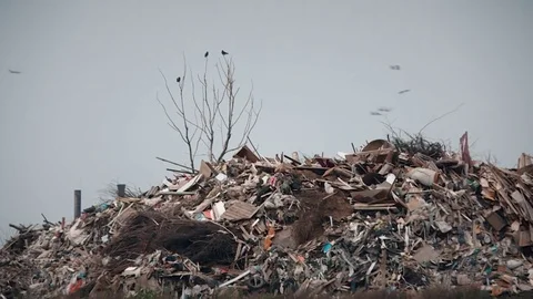 Processing of waste, garbage. Urban landfill. Sorting. Stock Footage 82137293
