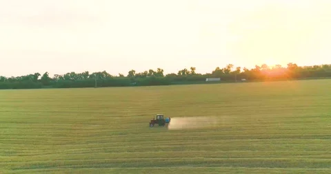 Processing a wheat field with pesticides. View from a drone. Tractor treats Stock Footage 165456643