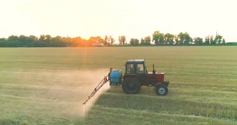 Processing a wheat field with pesticides. View from a drone. Tractor treats Stock Footage 167439304