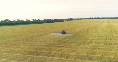 Processing a wheat field with pesticides. View from a drone. Tractor treats Stock Footage 168340205