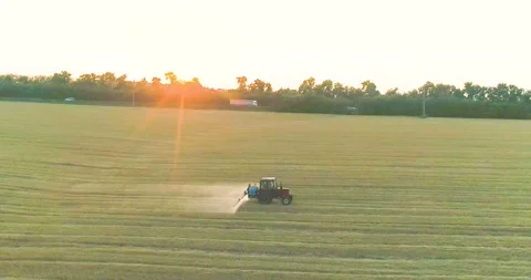 Processing a wheat field with pesticides. View from a drone. Tractor treats Stock Footage 168434991