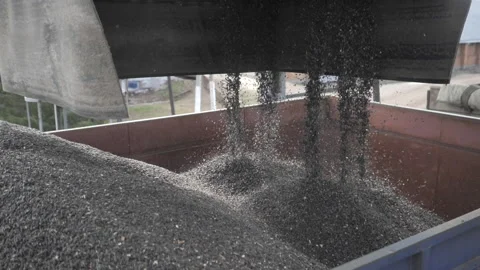 Processing of wheat grain in the granary. Stock Footage 132777593