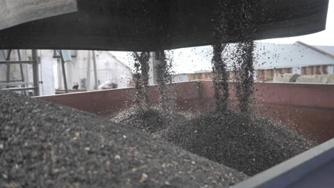 Processing of wheat grain in the granary. Stock Footage 132777665