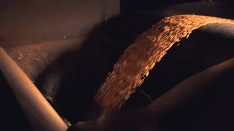 Processing of wheat grain in the granary. Stock Footage 132778319