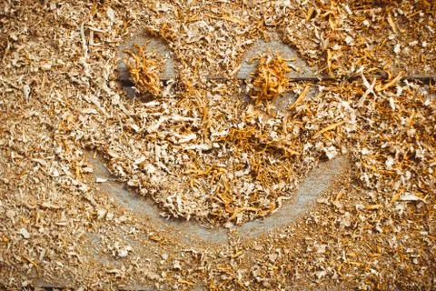 Processing of wood chips Stock Photos