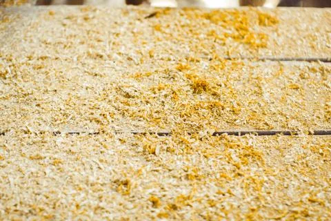 Processing of wood chips Stock Photos