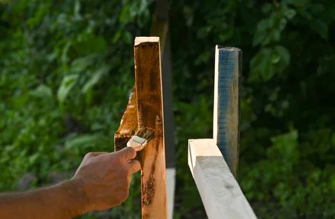 Processing of wooden boards with a paint coating. Stock Photos